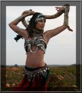 Belly Dancer's Heaven